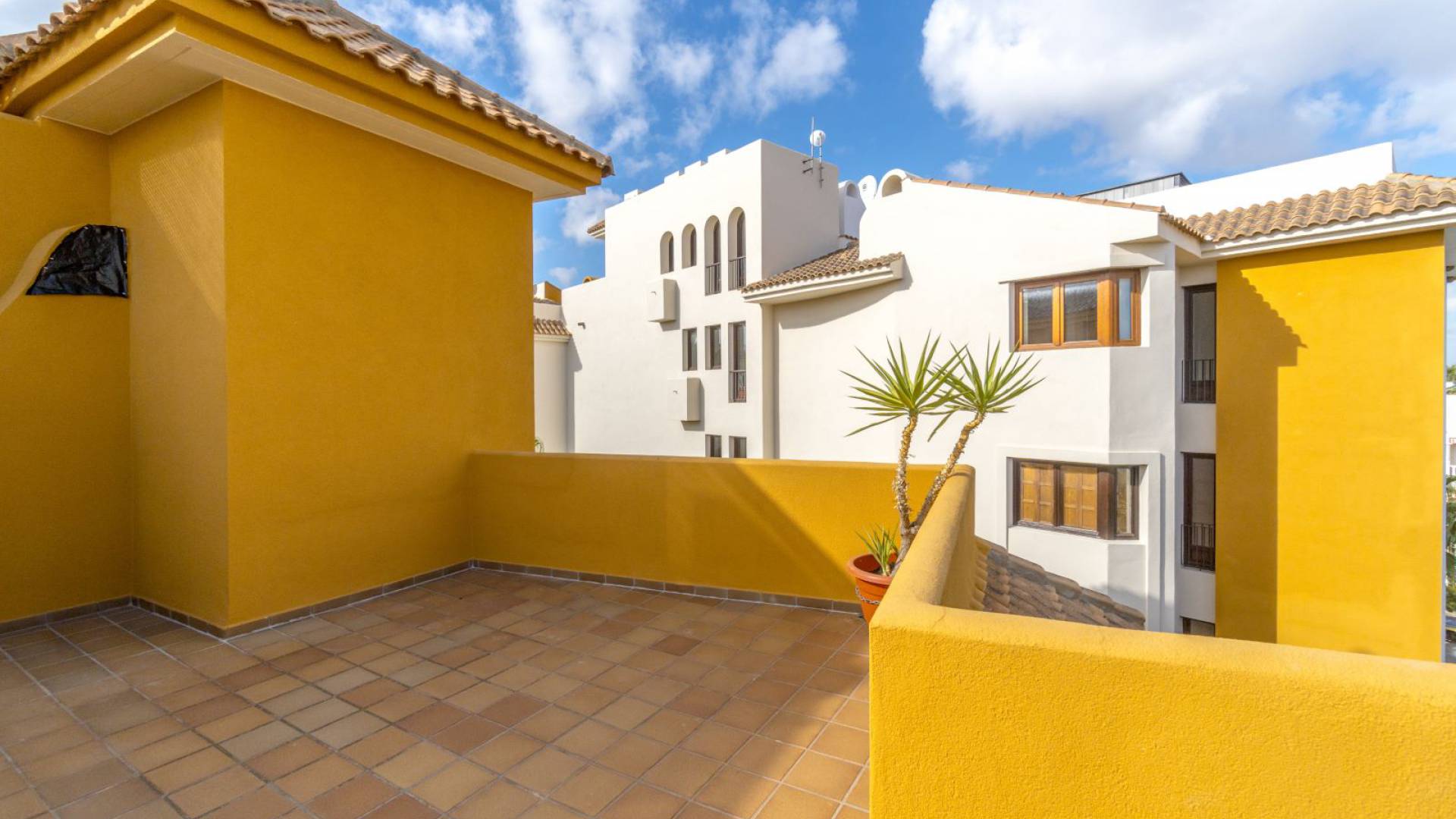 Wiederverkauf - Wohnung - Punta Prima - panorama park