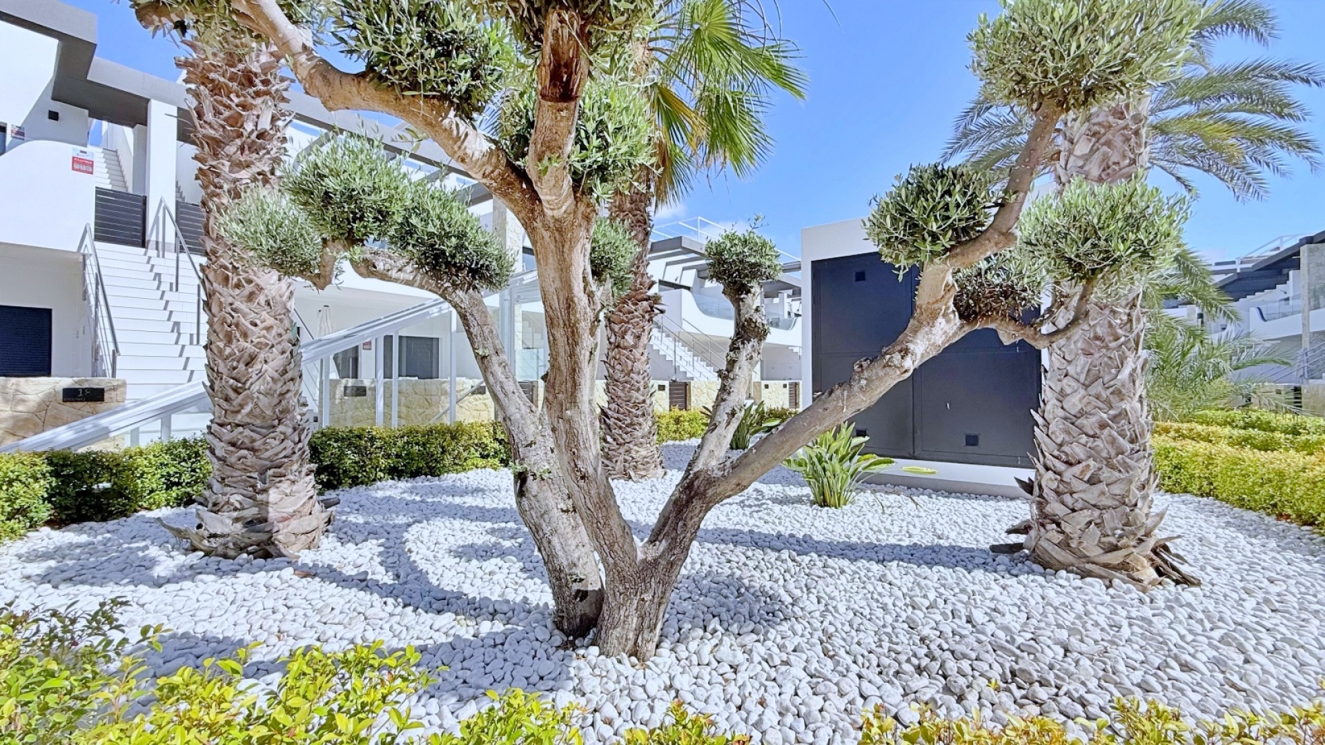 Wiederverkauf - Wohnung - Punta Prima - Res. Innova Beach
