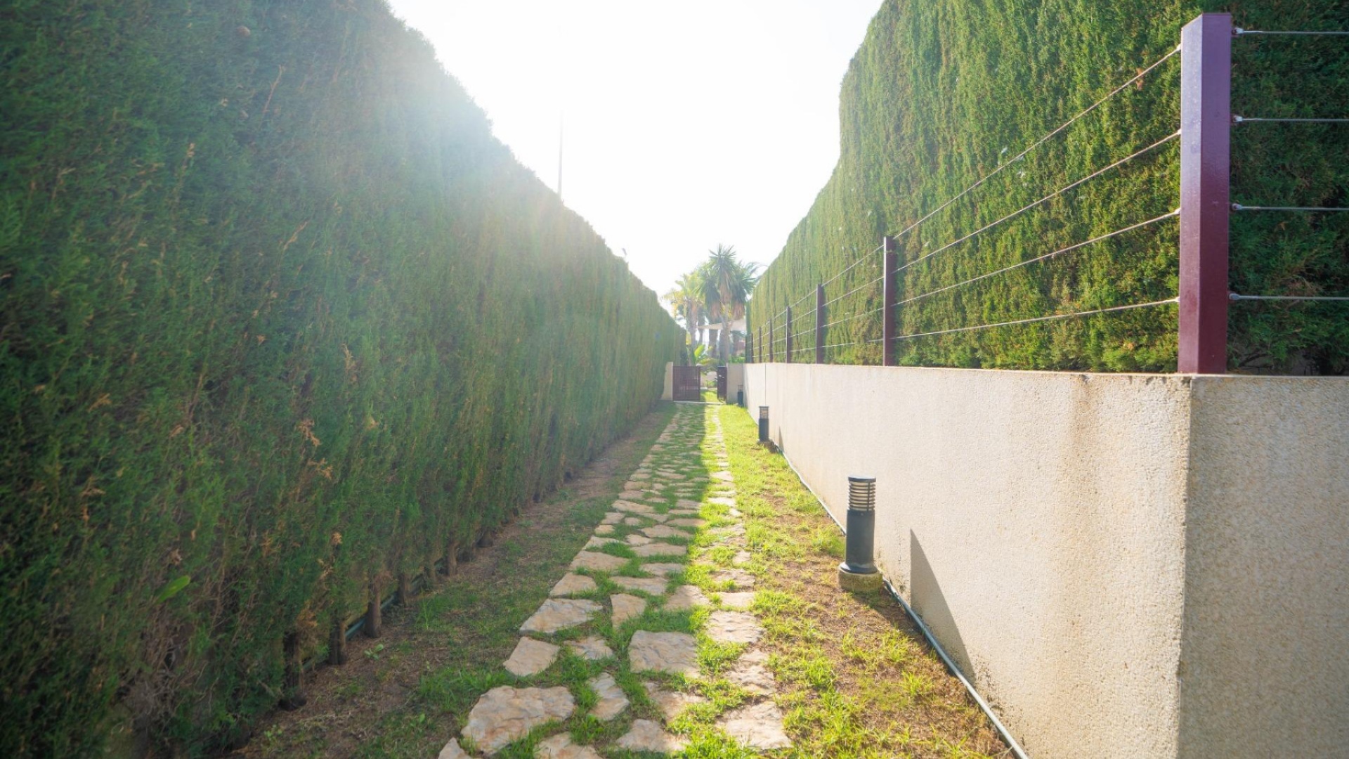 Wiederverkauf - Wohnung - Punta Prima - Res. Silene