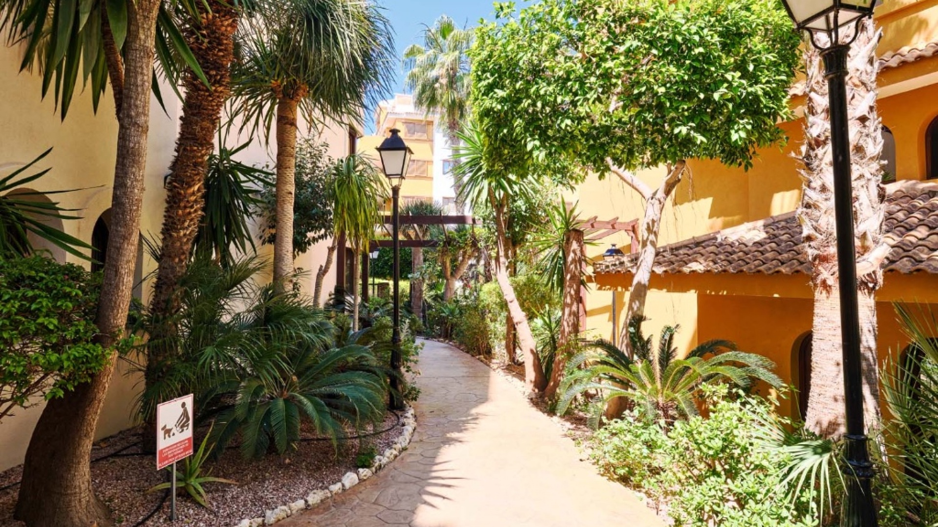 Wiederverkauf - Wohnung - Punta Prima