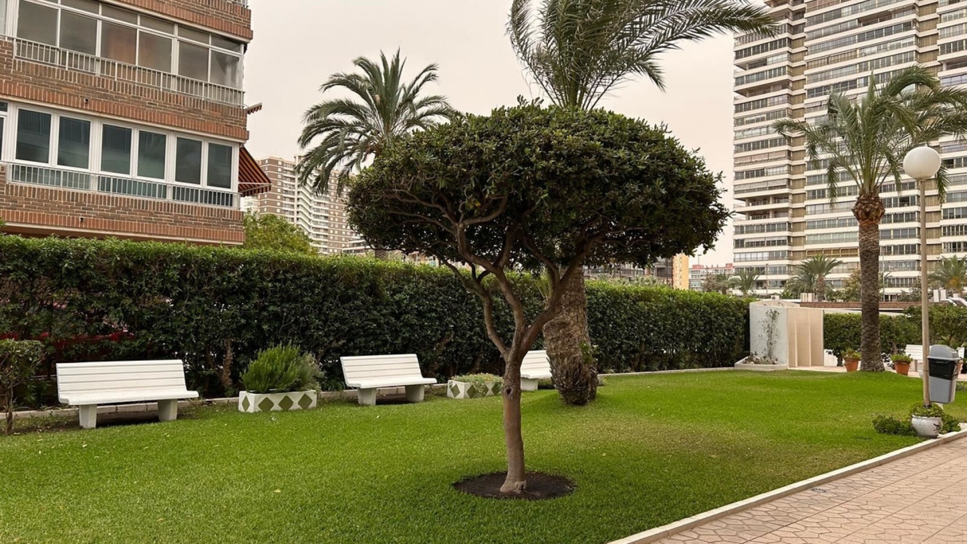 Wiederverkauf - Wohnung - San Juan de Alicante - Playa de San Juan