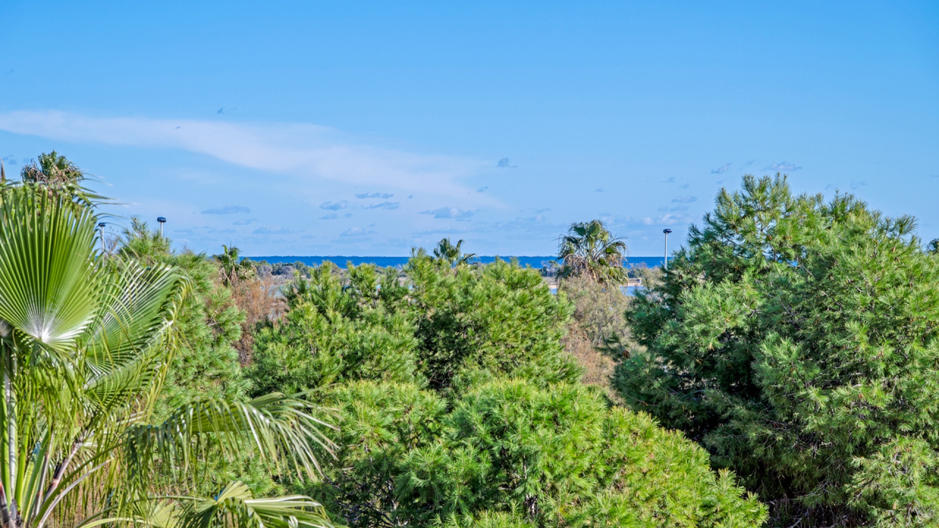 Wiederverkauf - Wohnung - San Pedro del Pinatar