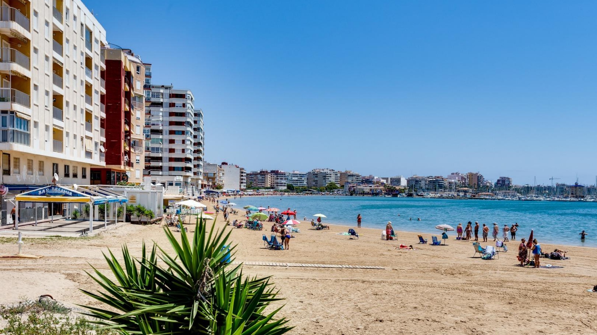 Wiederverkauf - Wohnung - Torrevieja - Acequion