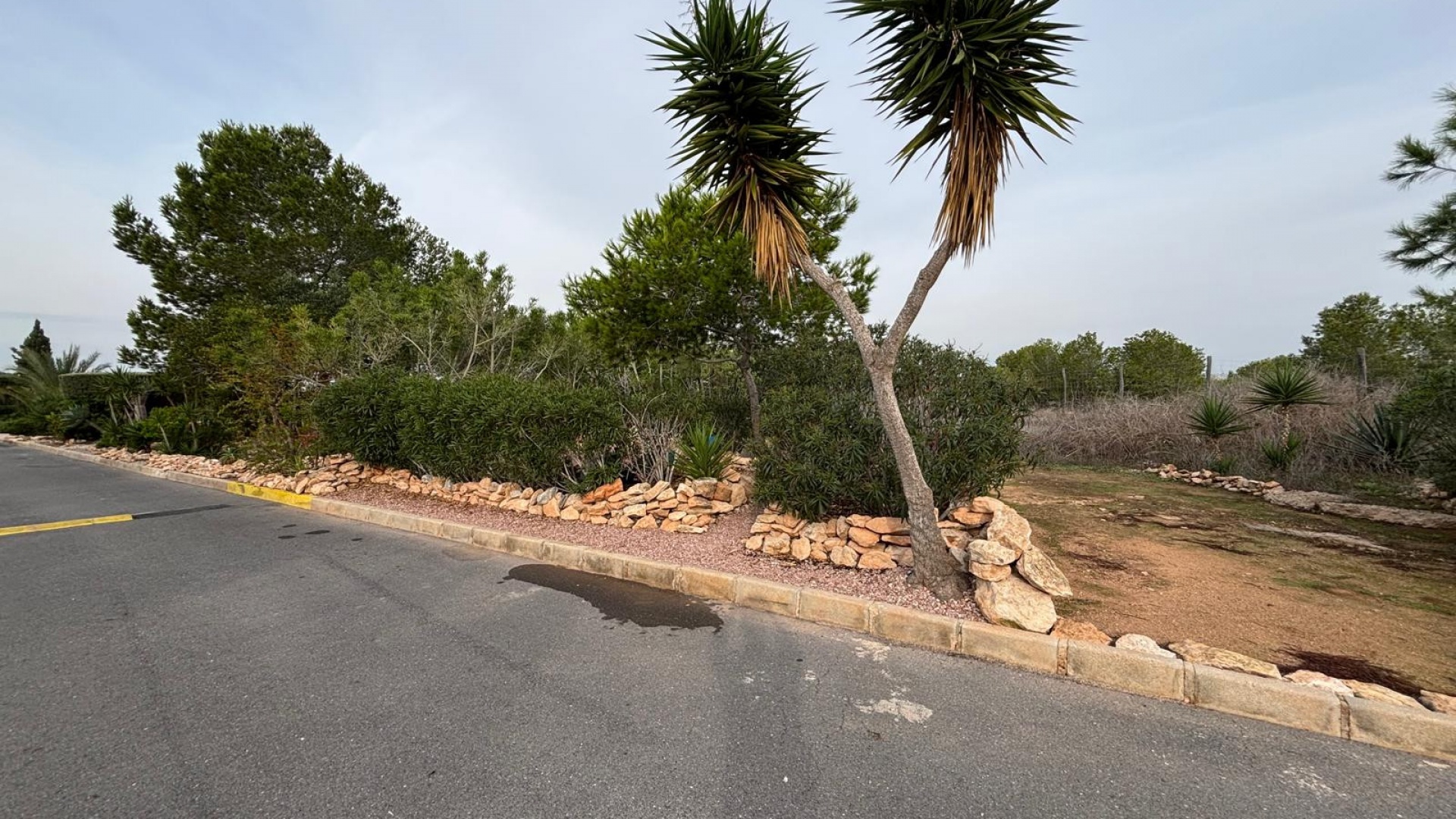 Wiederverkauf - Wohnung - Torrevieja - la siesta