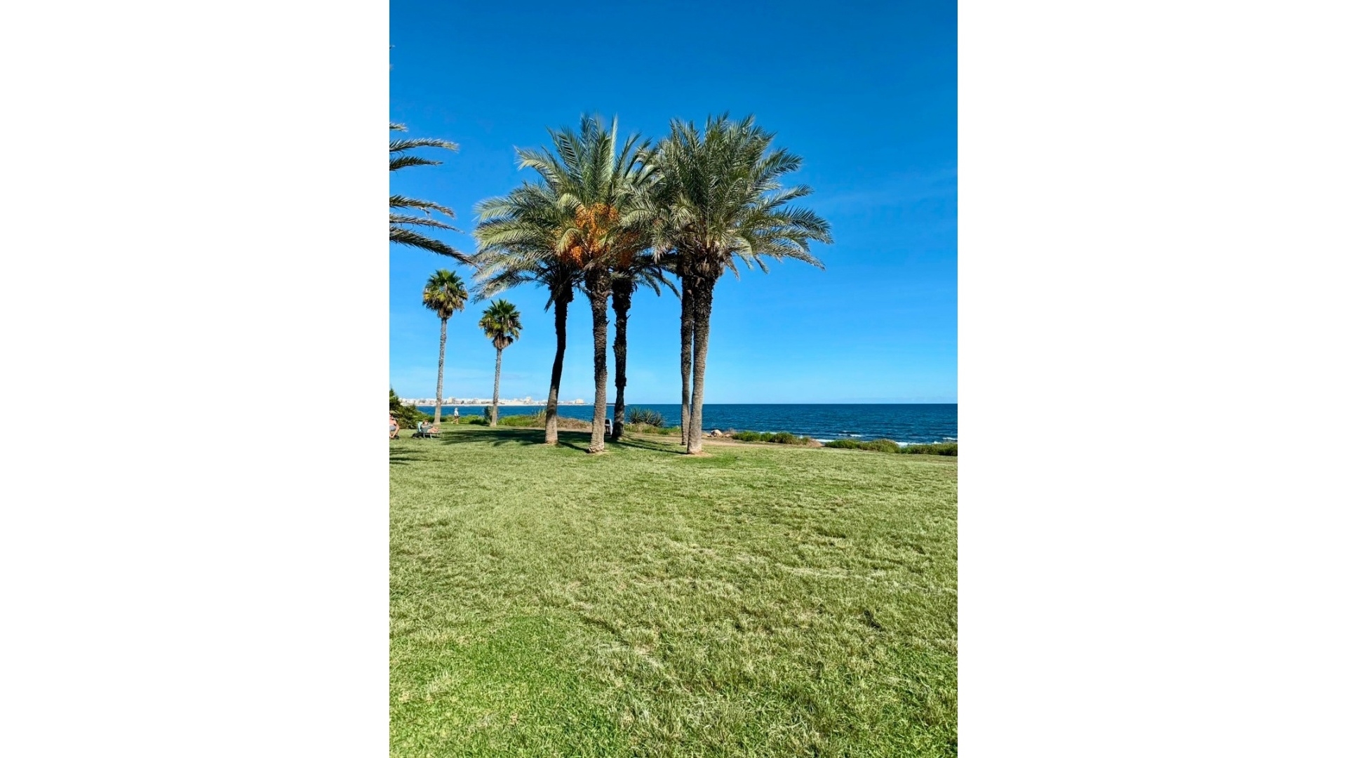 Wiederverkauf - Wohnung - Torrevieja - La Veleta