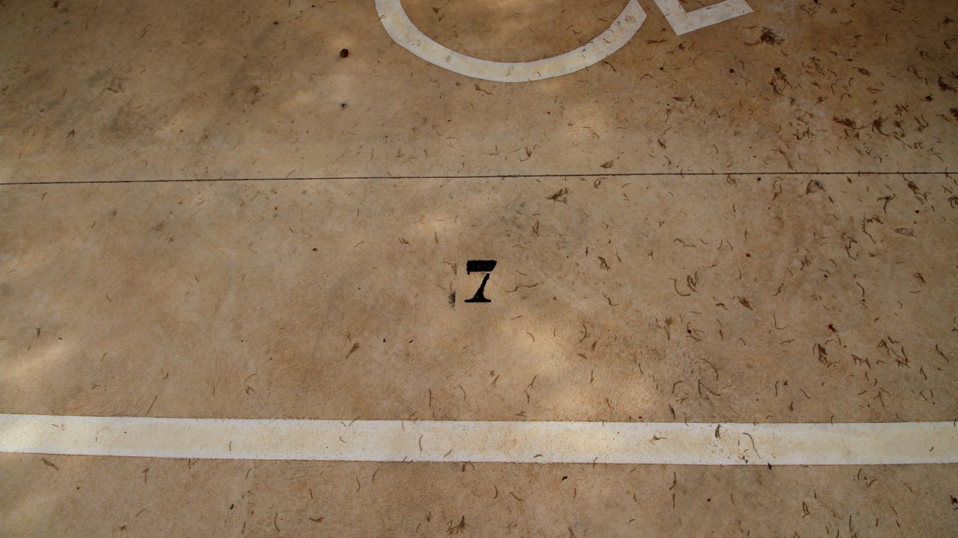 Wiederverkauf - Wohnung - Torrevieja - Nueva Torrevieja