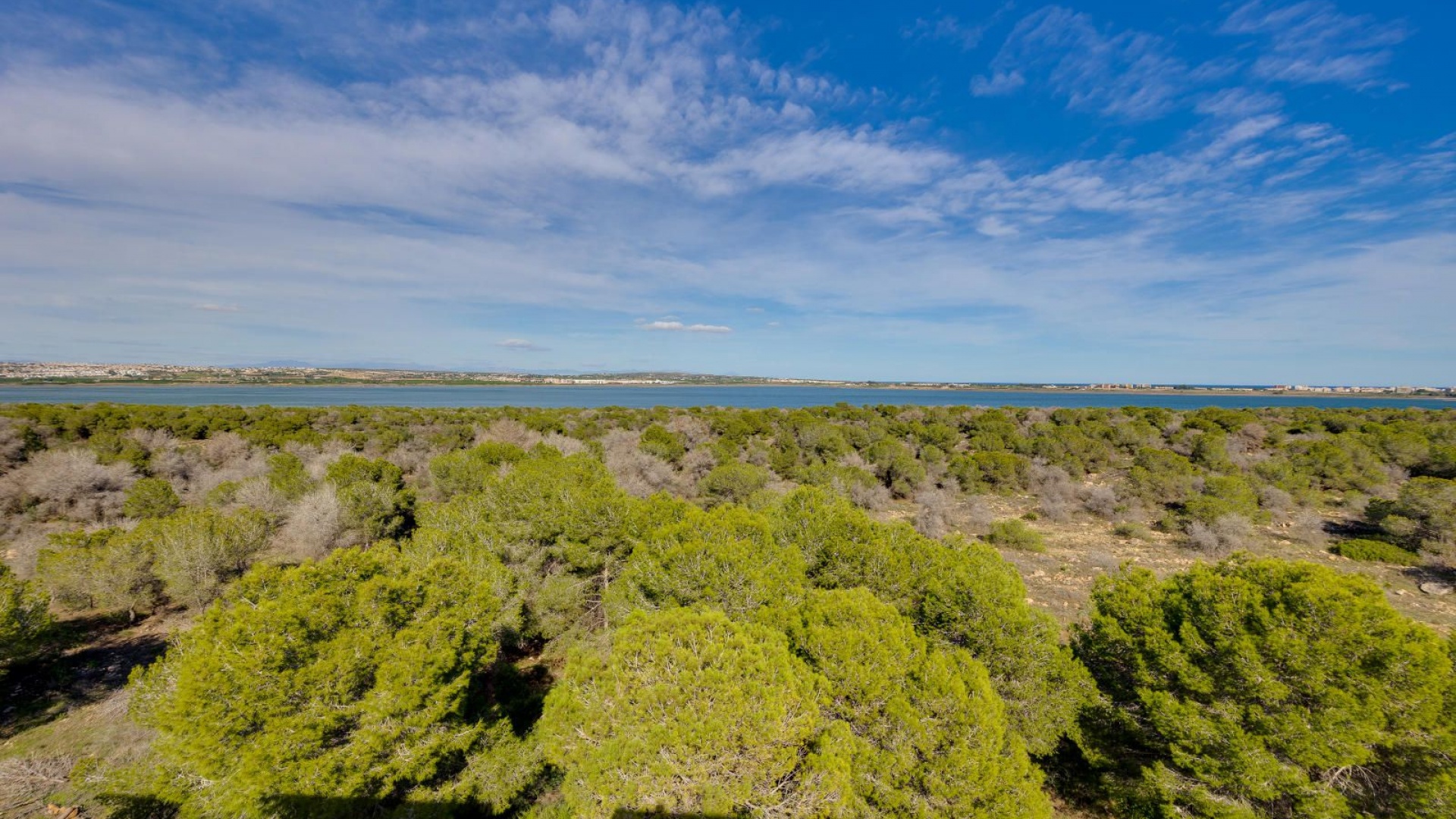 Wiederverkauf - Wohnung - Torrevieja - san luis