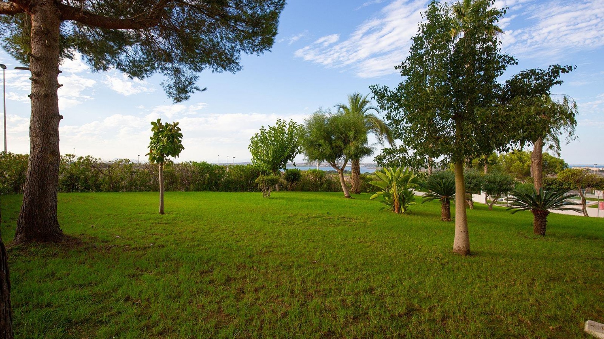 Wiederverkauf - Wohnung - Torrevieja - Torreblanca