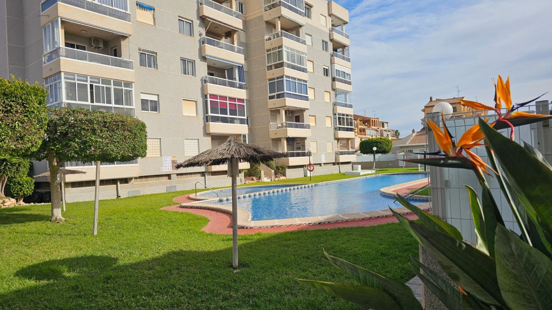 Wiederverkauf - Wohnung - Torrevieja - Torrevieja Centro