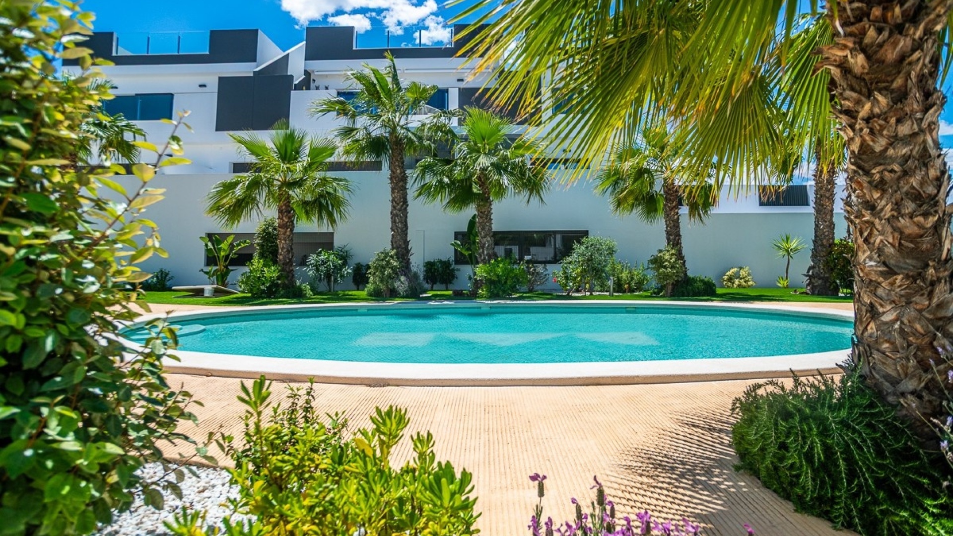 Wiederverkauf - Wohnung - Torrevieja - Torrevieja Centro