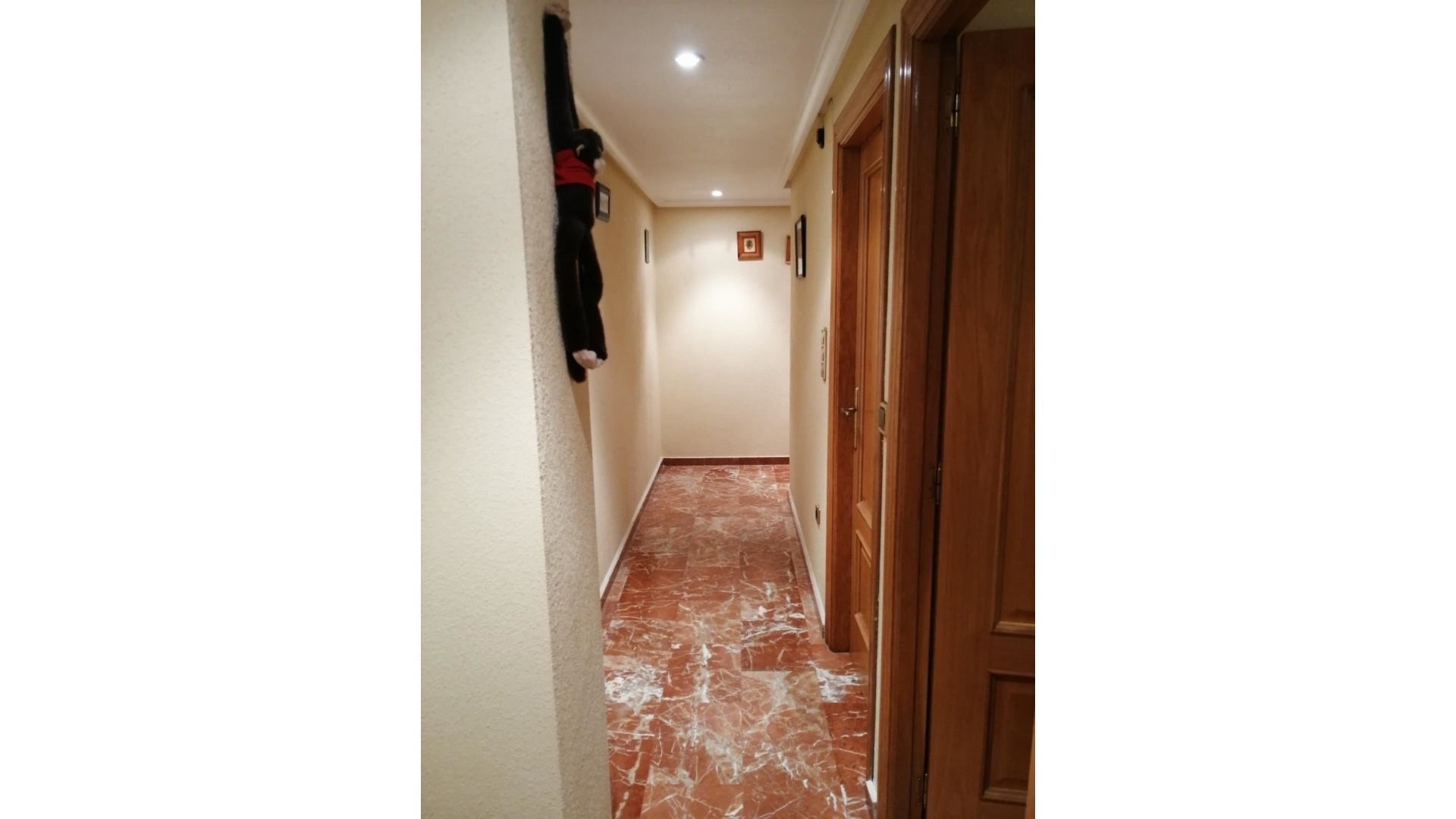 Wiederverkauf - Wohnung - Torrevieja - Torrevieja Centro