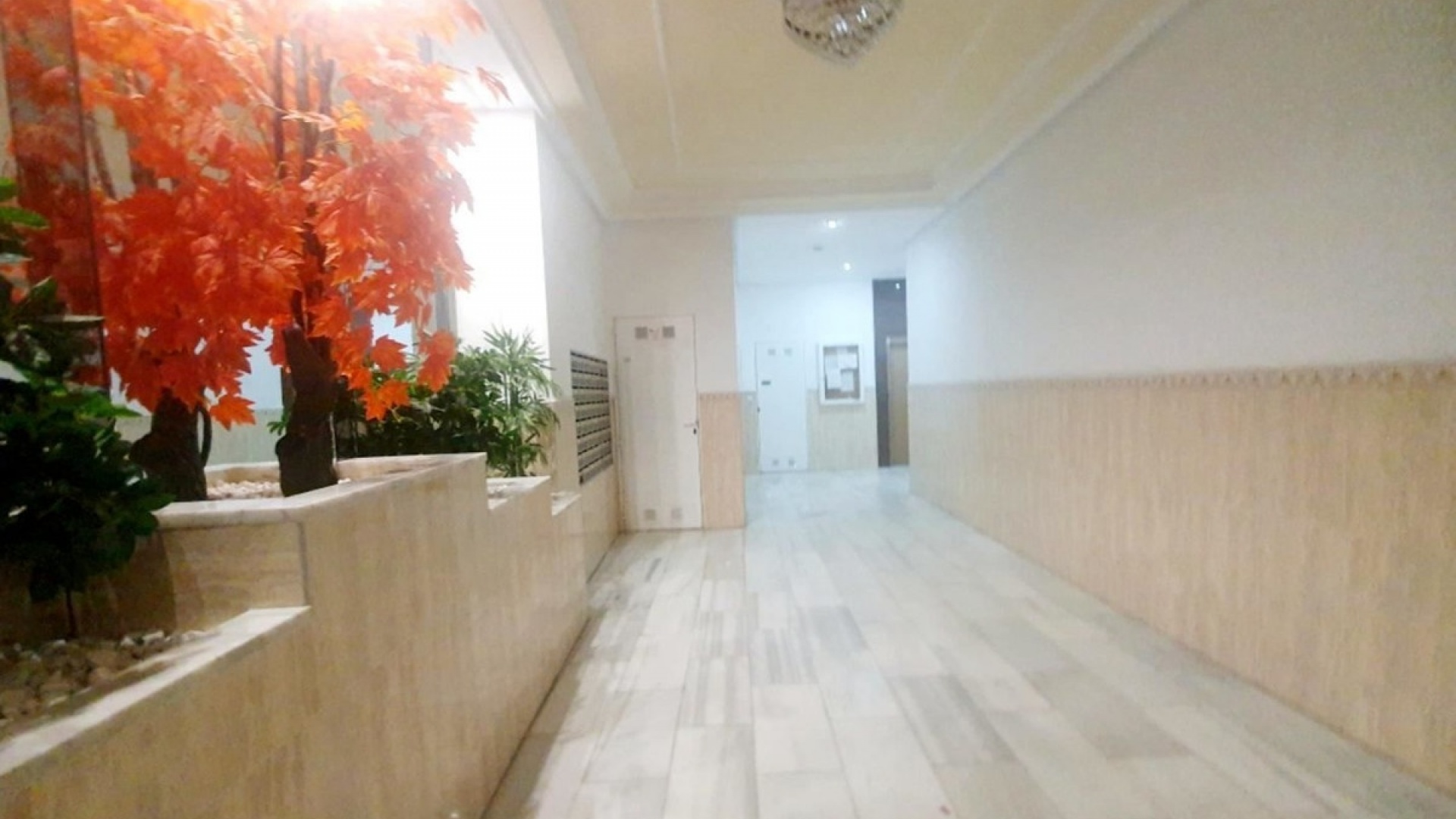 Wiederverkauf - Wohnung - Torrevieja - Torrevieja Centro