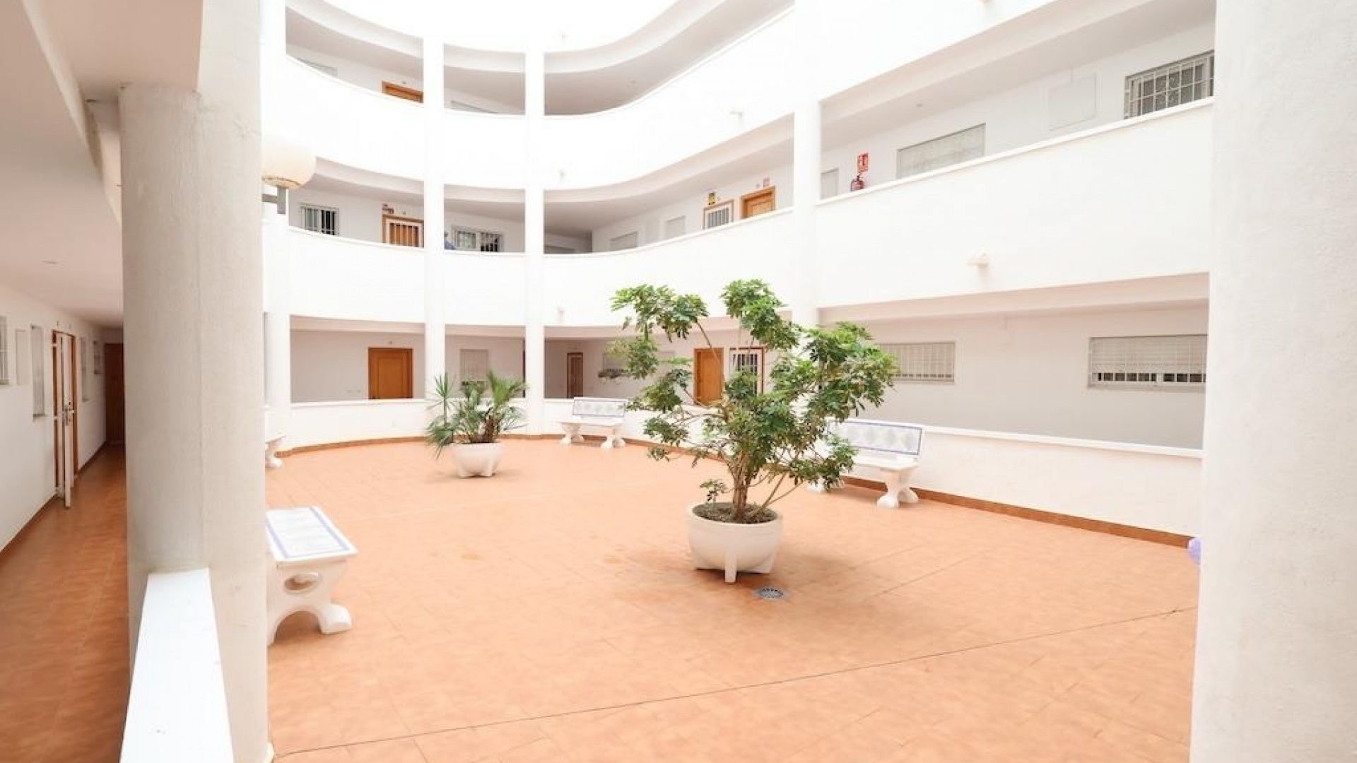 Wiederverkauf - Wohnung - Torrevieja