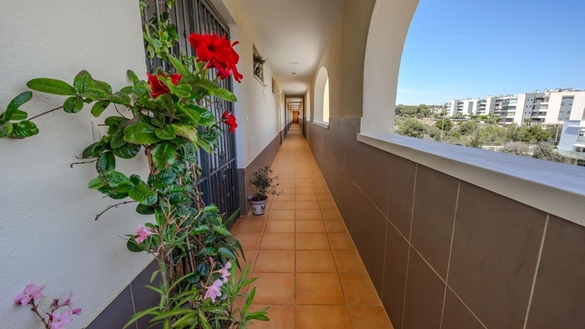 Wiederverkauf - Wohnung - Villamartin - Los Dolses