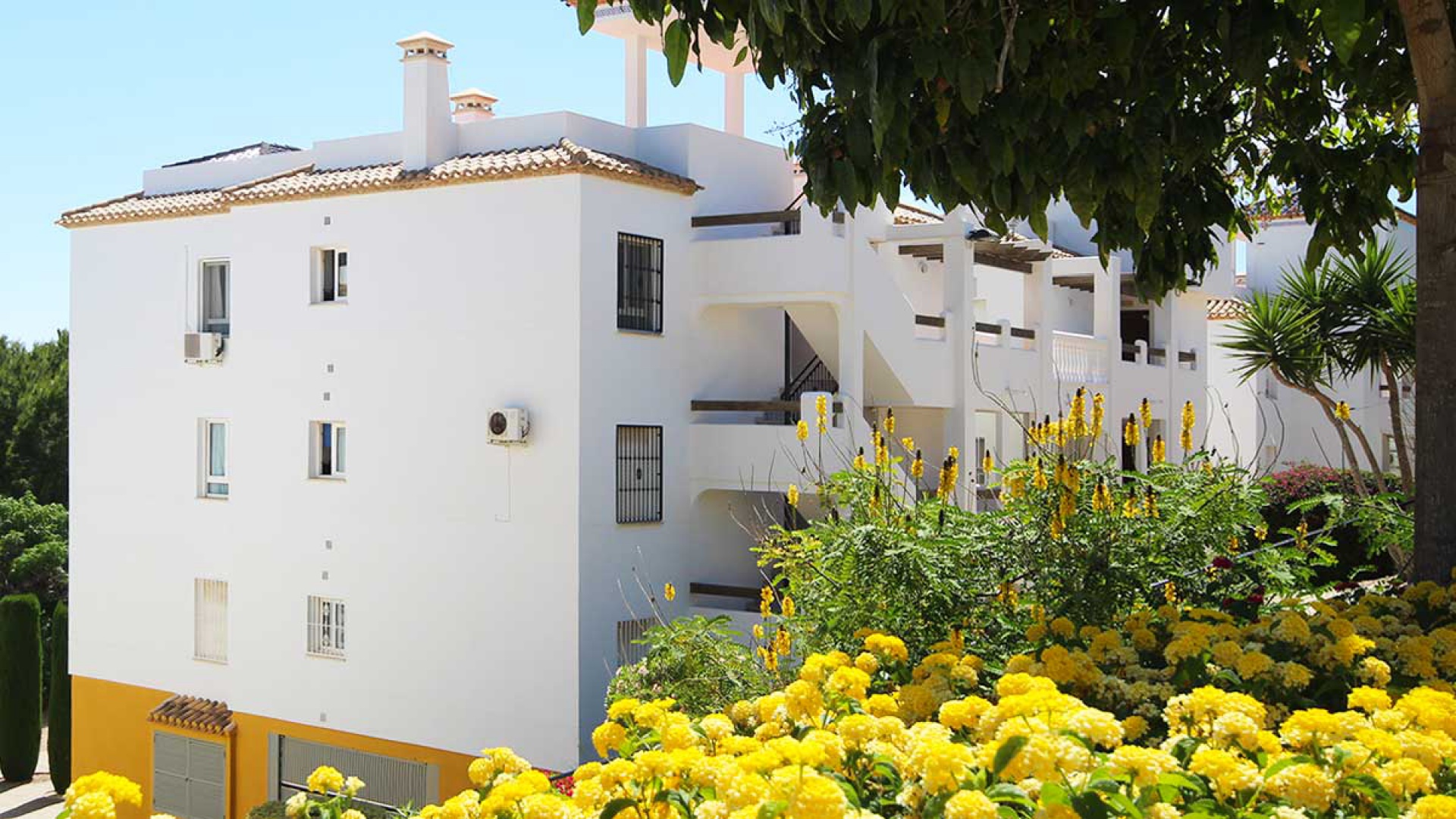 Wiederverkauf - Wohnung - Villamartin - Los Dolses
