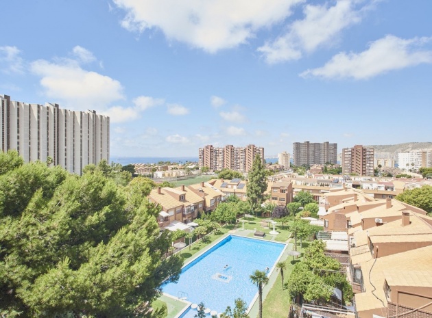 Wohnung - Wiederverkauf - Alicante - Alicante City Centro