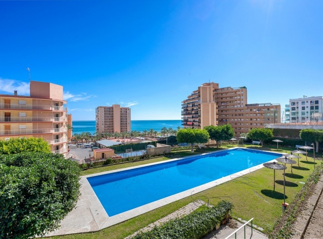 Wohnung - Wiederverkauf - Elche - Arenales del Sol
