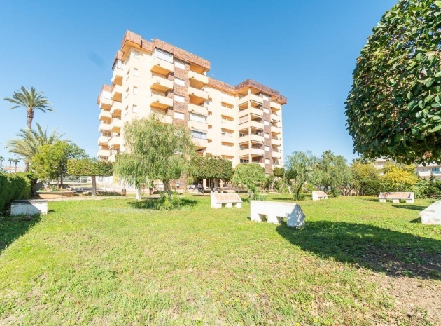 Wohnung - Wiederverkauf - La Zenia - beachside