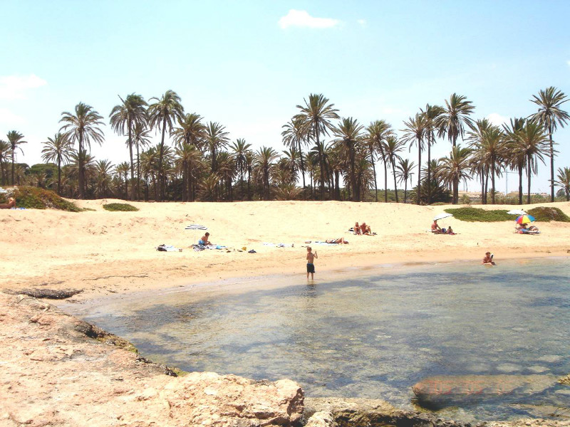 La Cinuelica Property For Sale La Cinuelica Property For Sale