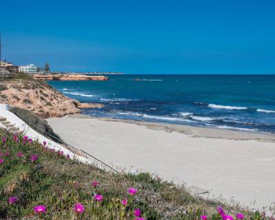 Fastighet i Torrevieja Costa Blanca söder