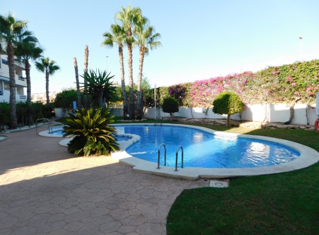 Resale - Apartment - Playa Flamenca - la calma