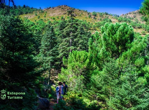 Neubau - Wohnung - Estepona - Playa de La Rada