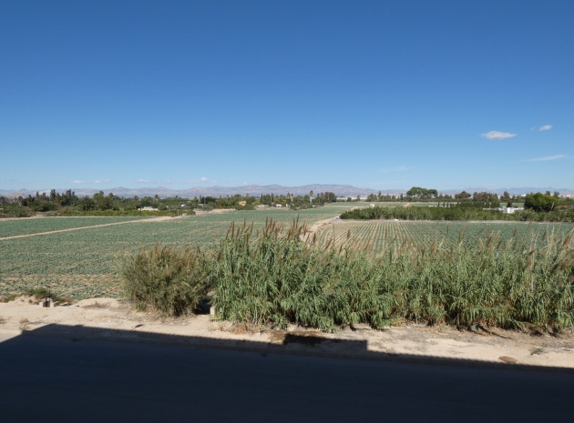 Wiederverkauf - Wohnung - Algorfa