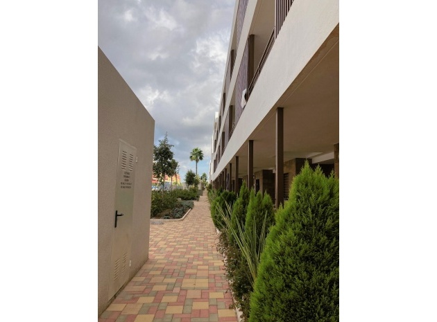 Wiederverkauf - Wohnung - Cabo Roig - Lomas de Cabo Roig