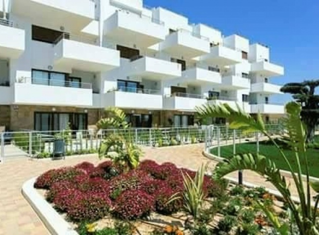 Wiederverkauf - Wohnung - Cabo Roig - Lomas de Cabo Roig