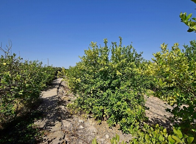 Revente - Villa - Albatera - albatera