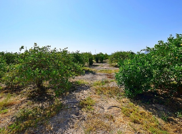 Revente - Villa - Albatera - albatera
