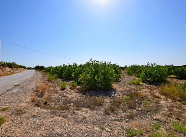 Revente - Villa - Albatera - albatera