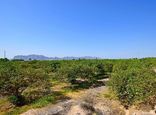 Revente - Villa - Albatera - albatera