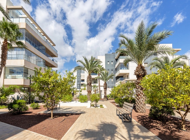 Resale - Apartment - Villamartin