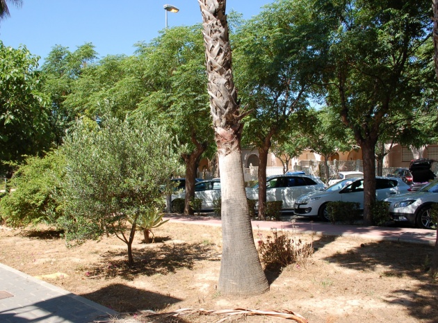 Resale - Townhouse - Mil Palmeras