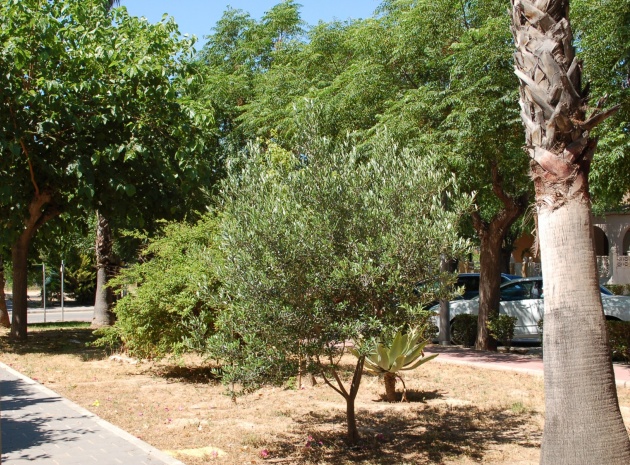 Resale - Townhouse - Mil Palmeras