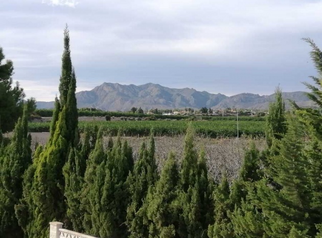 Återförsäljning - Villa - Crevillente - crevillente