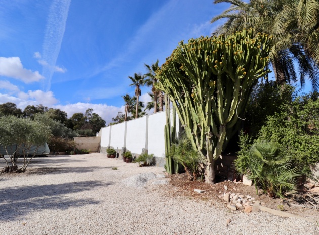 Wederverkoop - Country Property - El Altet