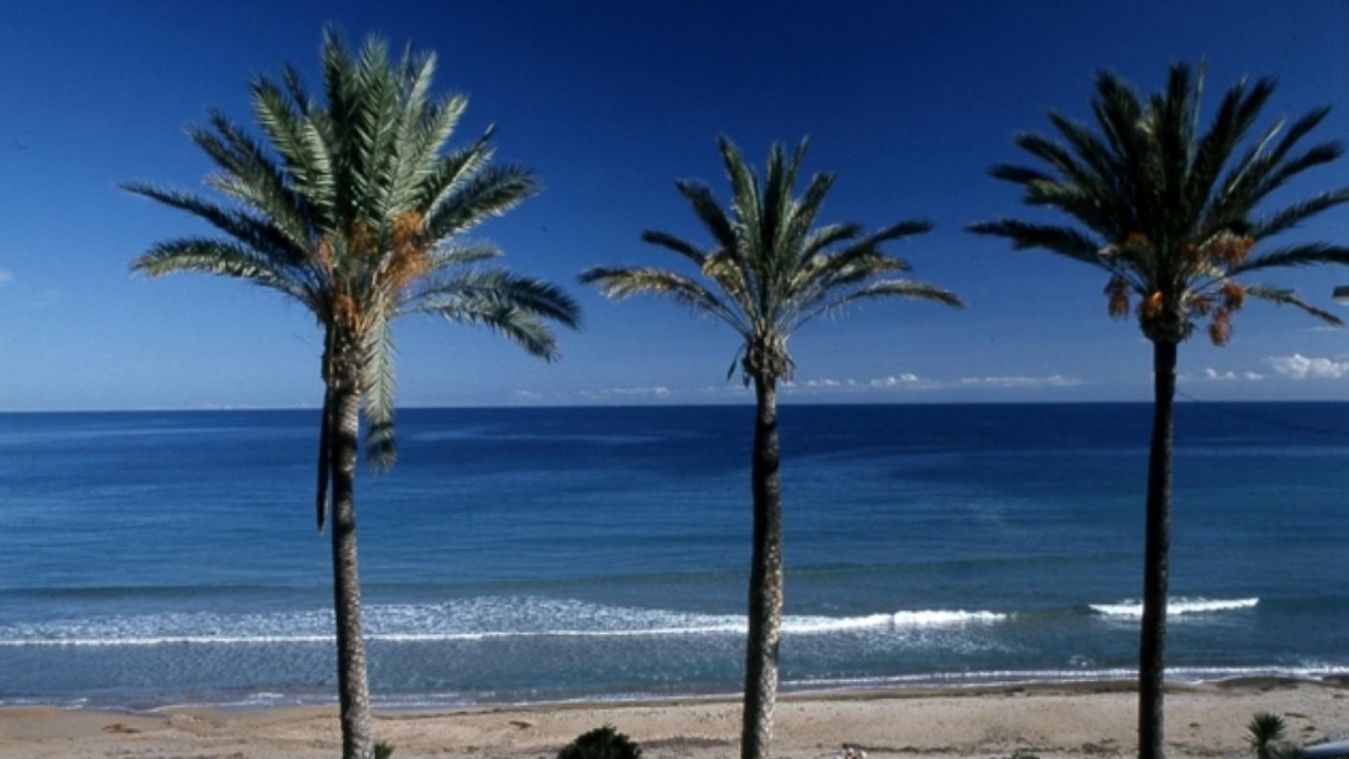 New Build - Apartment - Pilar de la Horadada - La Torre De La Horadada