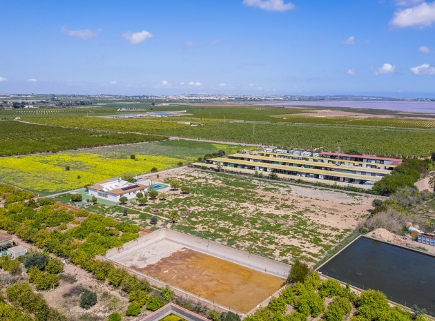 Revente - Villa - Los Montesinos