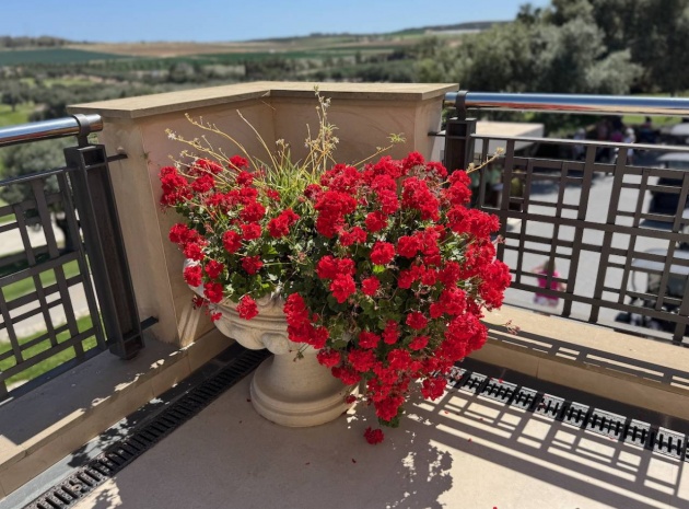 Resale - Villa - Algorfa - La Finca Golf