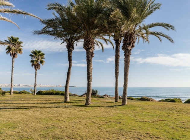 Återförsäljning - Lägenhet - Torrevieja - mar azul