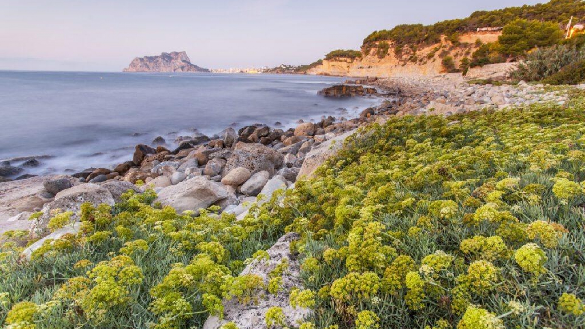 Nybyggnad - Villa - Benissa - Cala Advocat