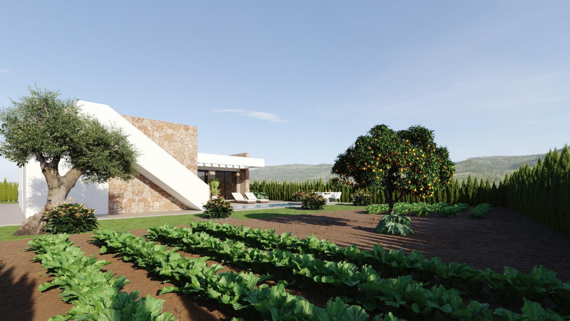 Nouvelle construction - Villa - Fuente Álamo - Hacienda del Alamo