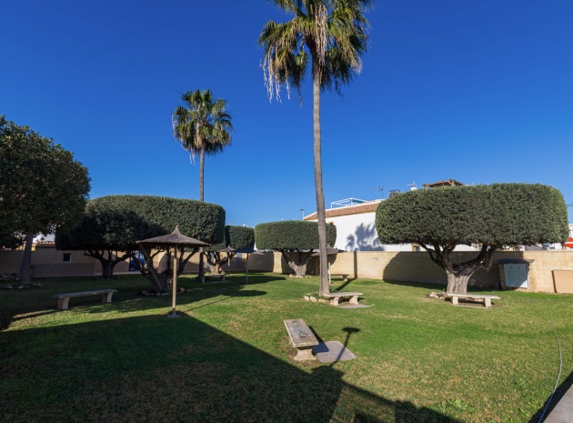 Wederverkoop - Appartement - Torrevieja - jardin del mar