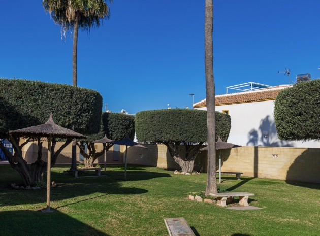 Wederverkoop - Appartement - Torrevieja - jardin del mar