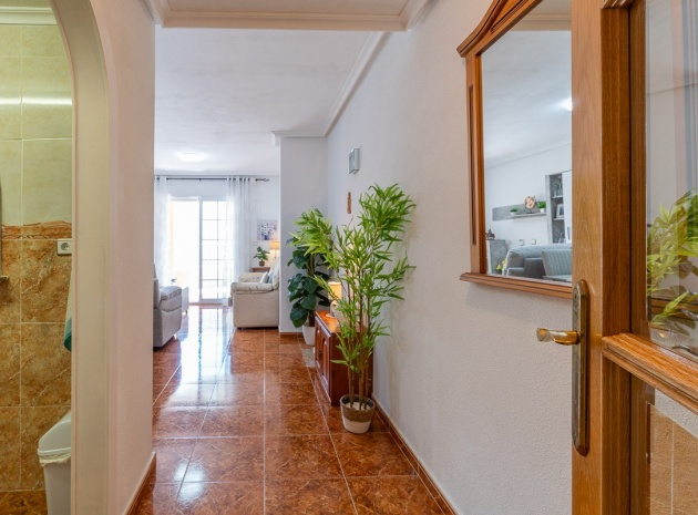 Wederverkoop - Appartement - La Mata