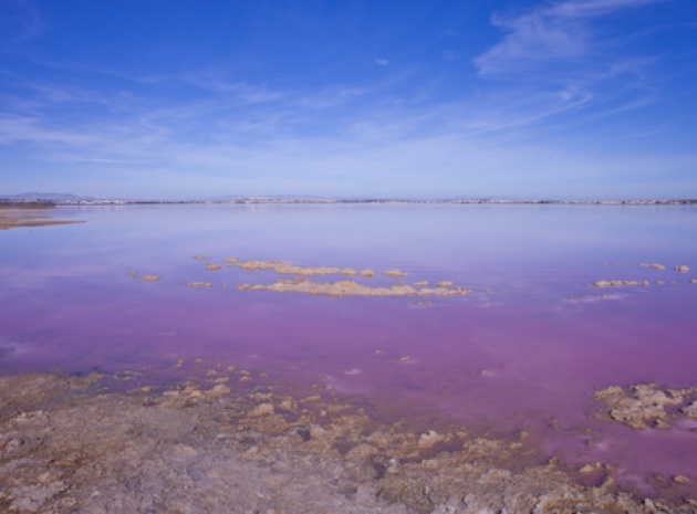 Wederverkoop - Villa - Los Altos