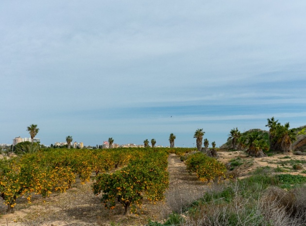 Wederverkoop - Villa - Los Altos