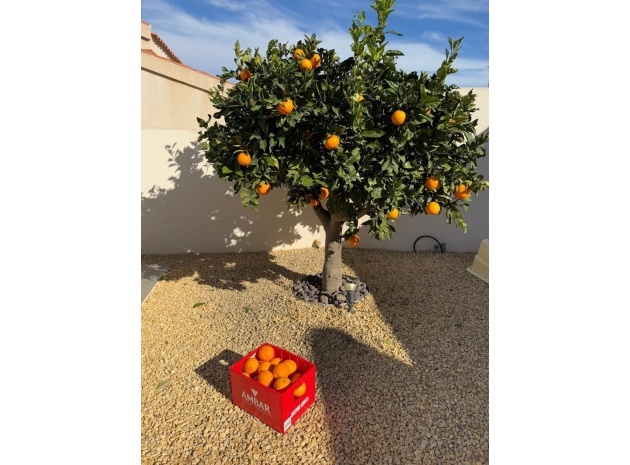 Wederverkoop - Villa - Ciudad Quesada